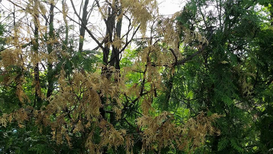 61459b9639e343ffea0582f26bb1cb3f_1608555954_9795.jpg 61459b9639e343ffea0582f26bb1cb3f_1608555954_9795.jpg