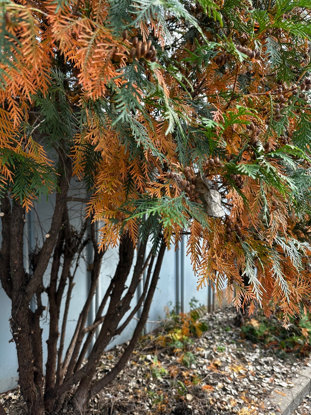 b94378c57e0ceeca9f1f89d0660c2a92_1698128120_8185.jpg b94378c57e0ceeca9f1f89d0660c2a92_1698128120_8185.jpg